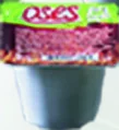 OSES Dip